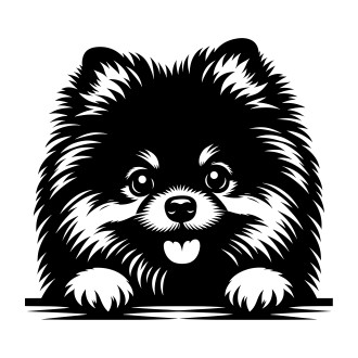 Samolepka pes Pomeranian (nemecký trpasličí špic)